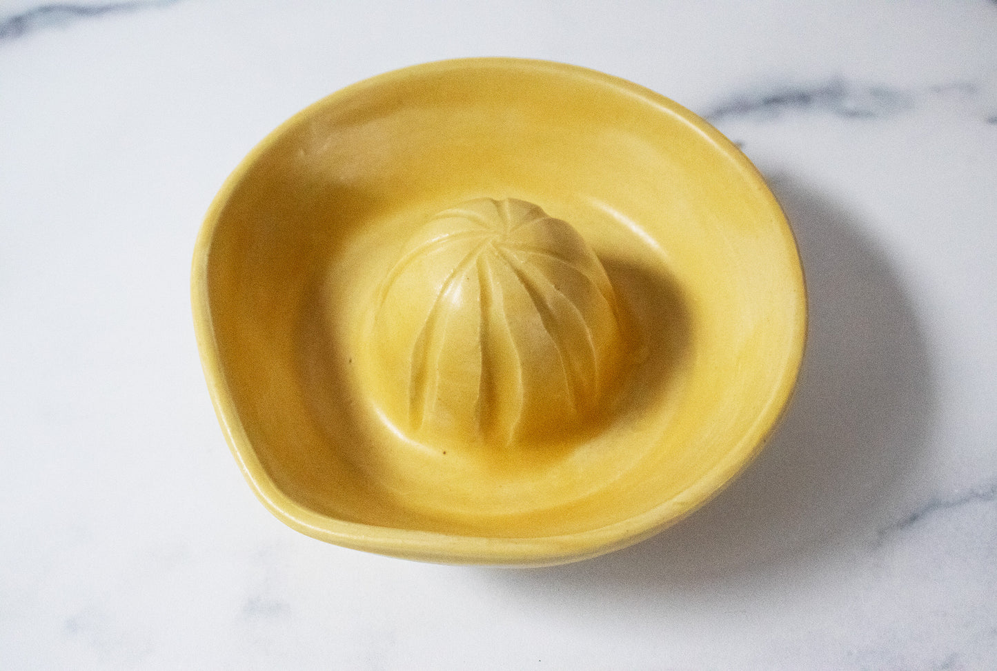 Sunny Days Citrus Juicer