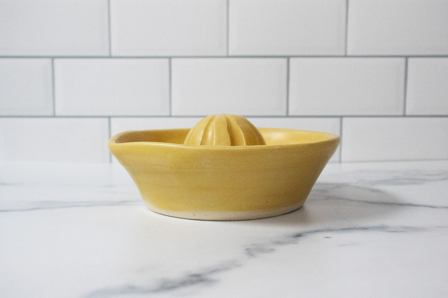 Sunny Days Citrus Juicer